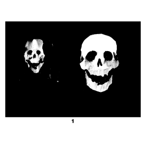 Tamara Mihalič: ilustracija (print)